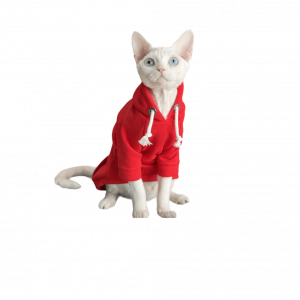 Одяг для котів