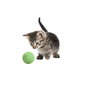 Мячи для котов