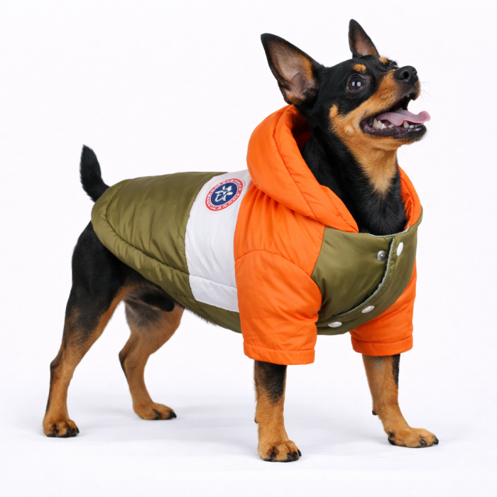 Куртка для собак вітрозахисна вологостійка Pet Style "Tagoon" Помаранчево-зелена, розмір M