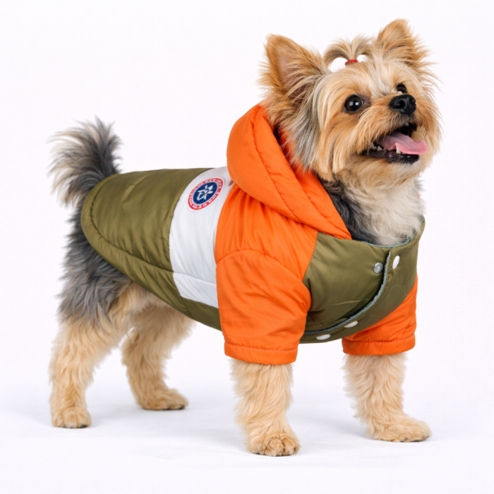 Куртка для собак вітрозахисна вологостійка Pet Style "Tagoon" Помаранчево-зелена, розмір L