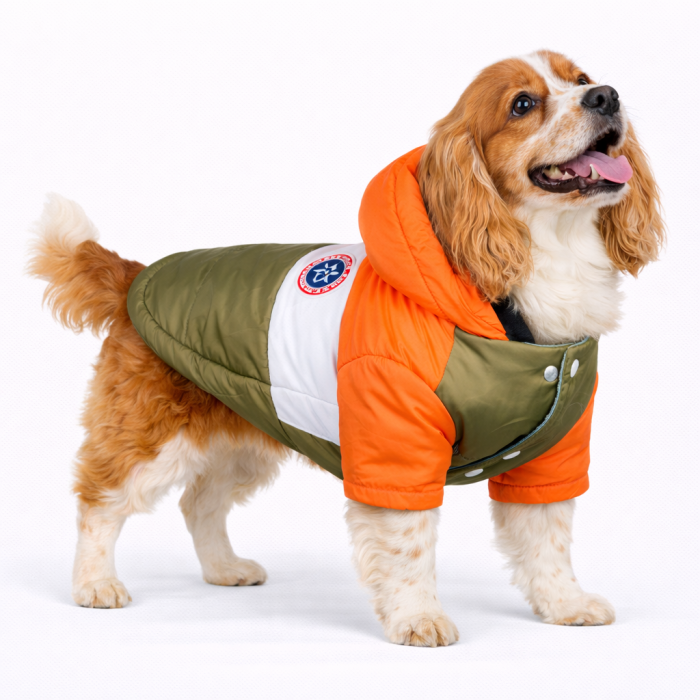 Куртка для собак вітрозахисна вологостійка Pet Style "Tagoon" Помаранчево-зелена, розмір 3XL