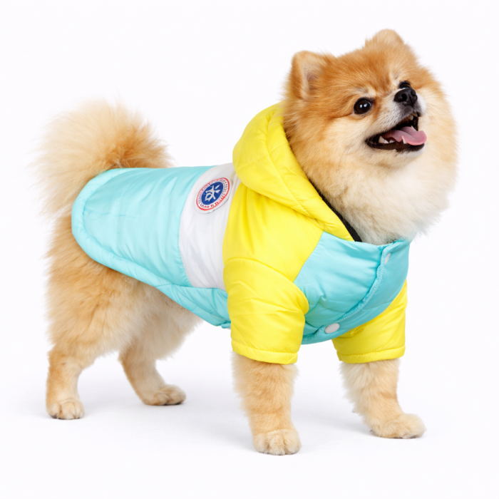 Куртка для собак вітрозахисна вологостійка Pet Style "Tagoon" Блакитна, розмір M