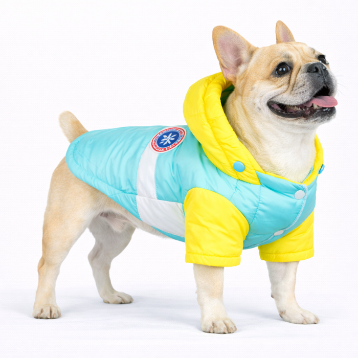 Куртка для собак вітрозахисна вологостійка Pet Style "Tagoon" Блакитна, розмір XL