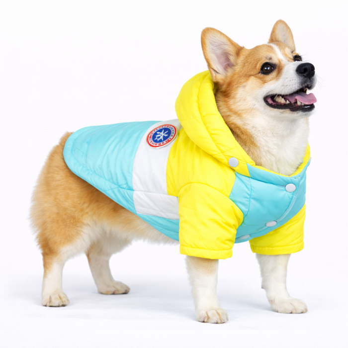 Куртка для собак вітрозахисна вологостійка Pet Style "Tagoon" Блакитна, розмір 2XL