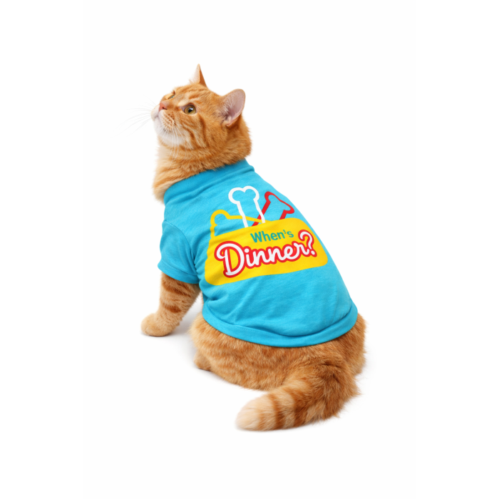 Світшот для котів «Коли обід?» блакитний, розмір S