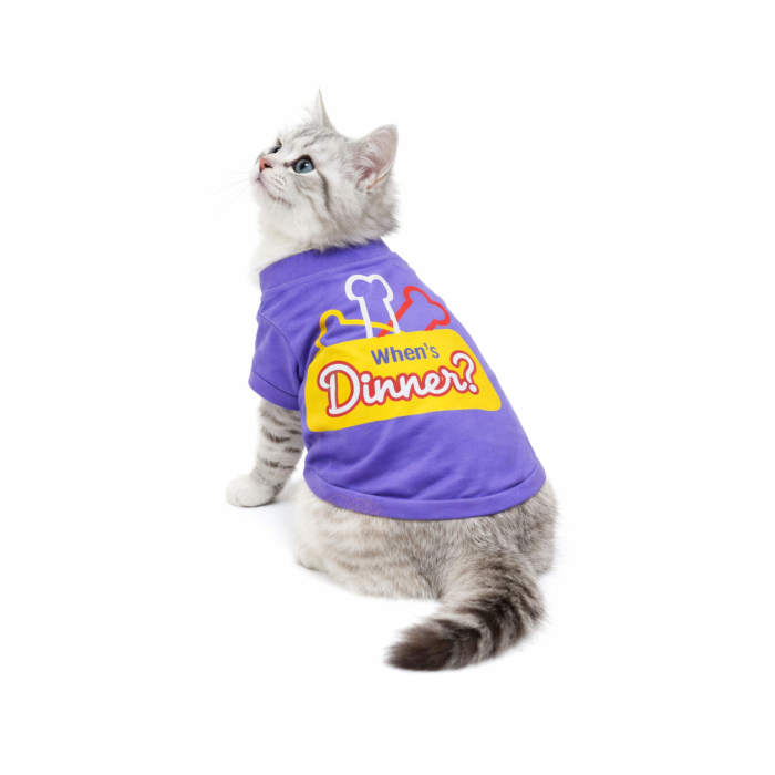 Світшот для котів «Коли обід?» фіолетовий, розмір M