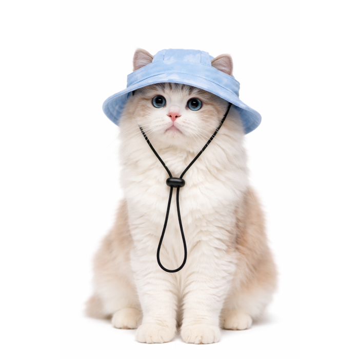 Сонцезахисна кепка - панама для котів, блакитна, розмір M
