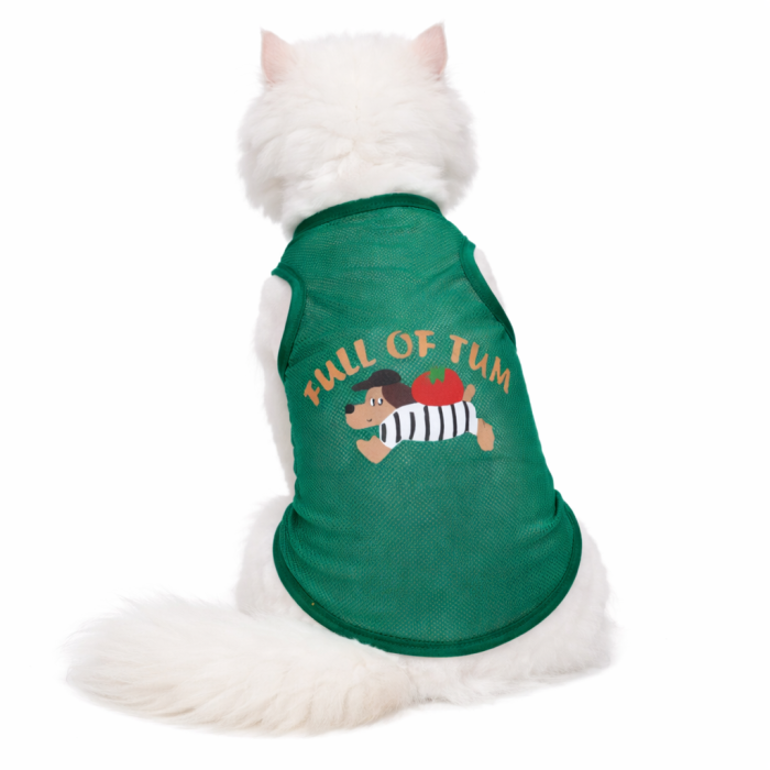 Сітчаста майка для котів «Full of tun», зелена, розмір L