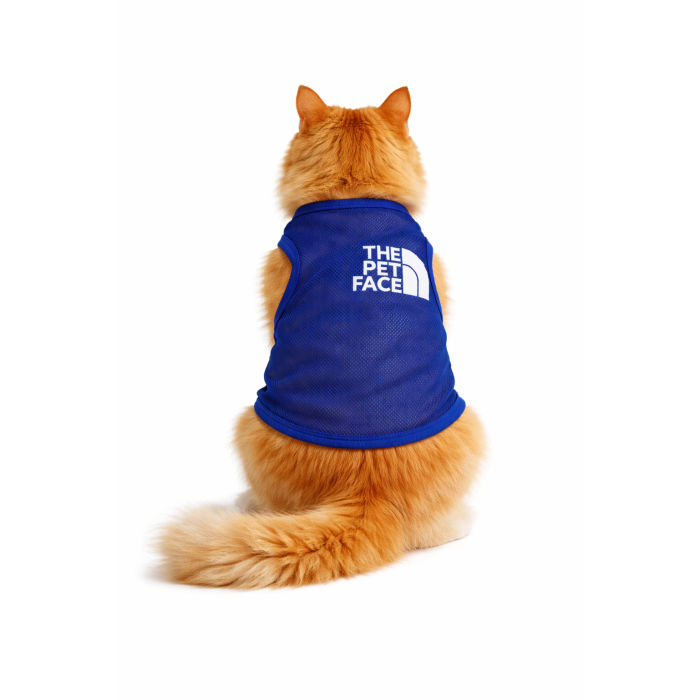 Сітчаста майка для котів «THE pet face», синя, розмір 2XL
