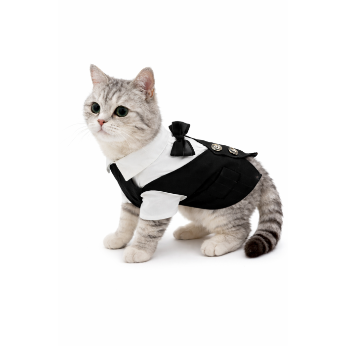 Праздничный костюм для котов и котов-мальчиков "Джентельмен", черно-белый, размер XL