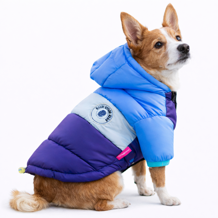 Зимова непромокальна куртка для собак "Club", блакитна, розмір 22