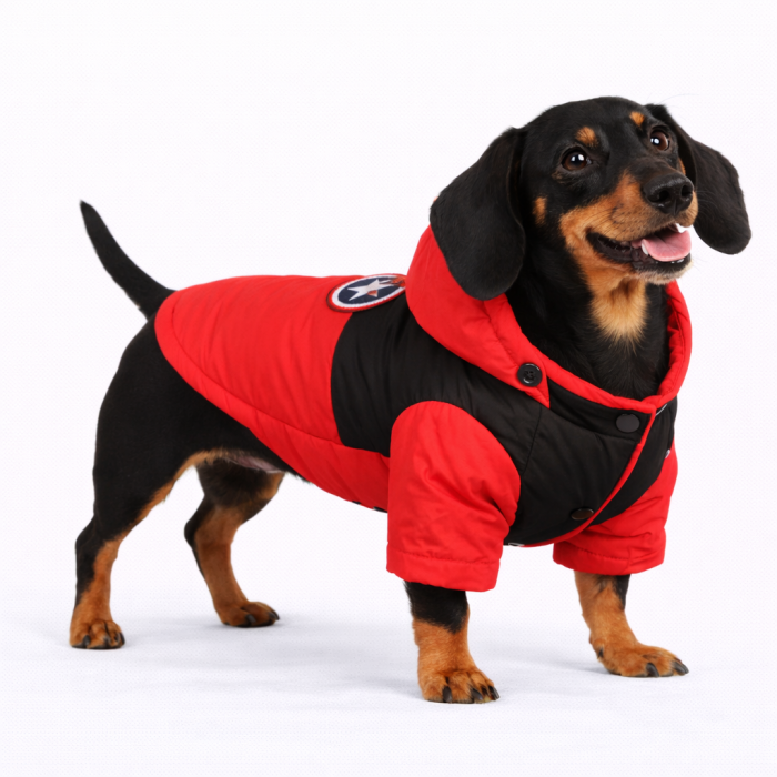 Зимова водонепроникна курточка для собак "DaDaGouPet", червона, розмір S