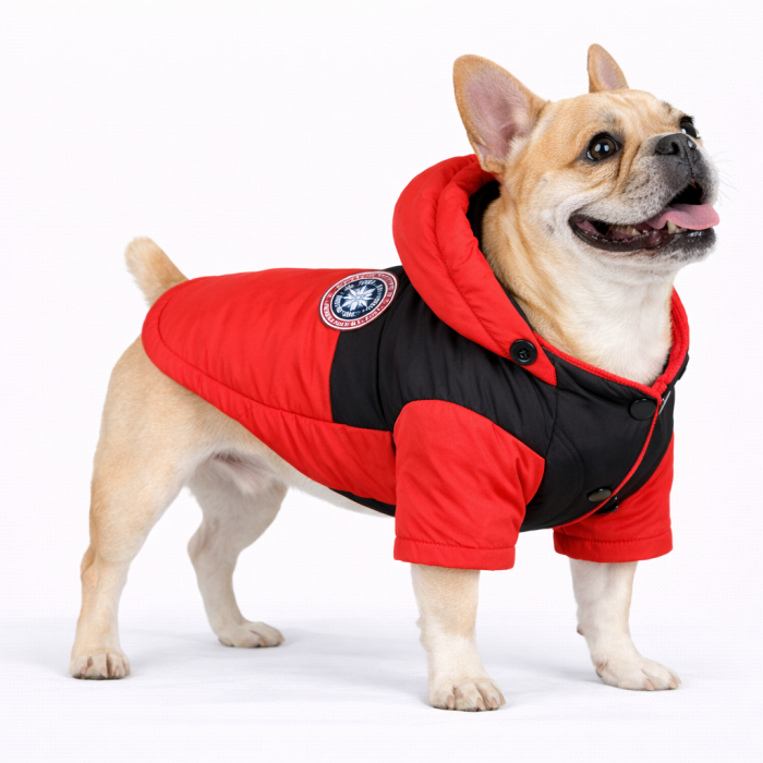 Зимова водонепроникна курточка для собак "DaDaGouPet", червона, розмір 2XL