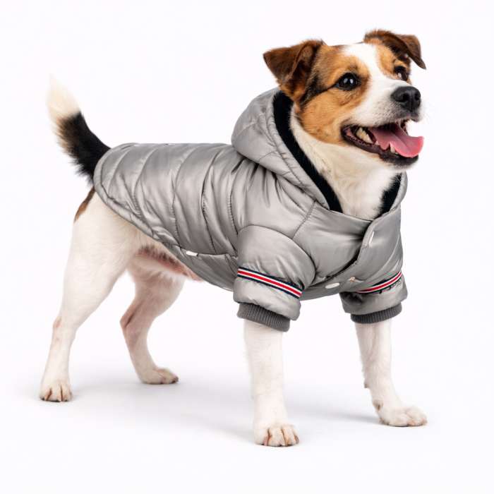 Осінньо-весняна тонка вітровка для собак "Fashion", сіра, розмір 2XL