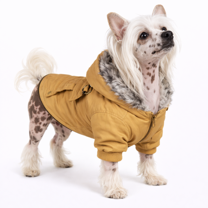 Осінньо-весняна куртка, парка для собак "ParisDog Republic", жовта, розмір L