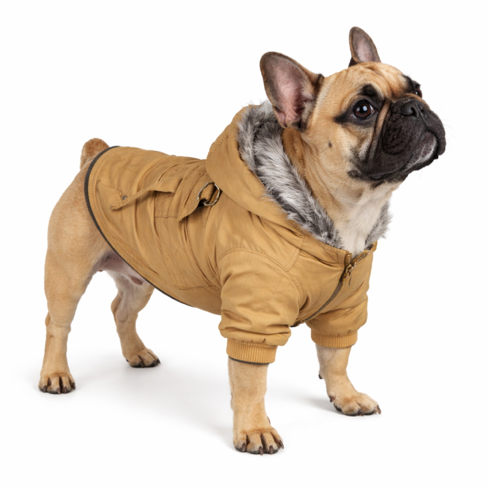 Осінньо-весняна куртка, парка для собак "ParisDog Republic", жовта, розмір 2XL