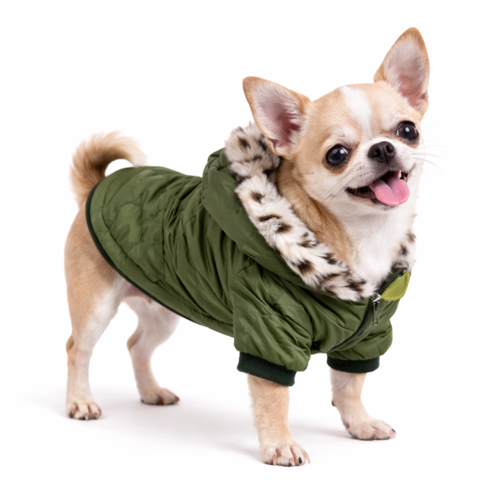 Осінньо-зимова куртка для собак "PetsOO", хакі, розмір XS