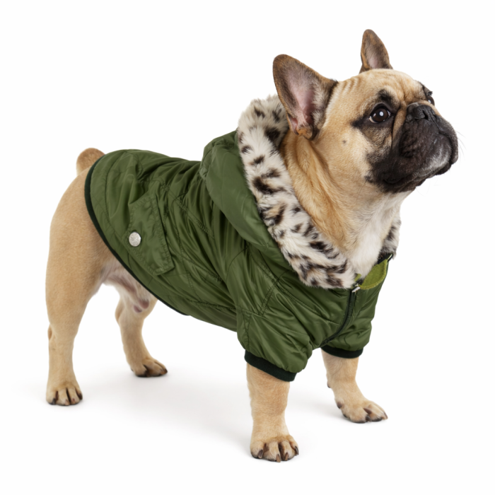 Осеннее-зимняя куртка для собак "PetsOO", хаки, размер XL