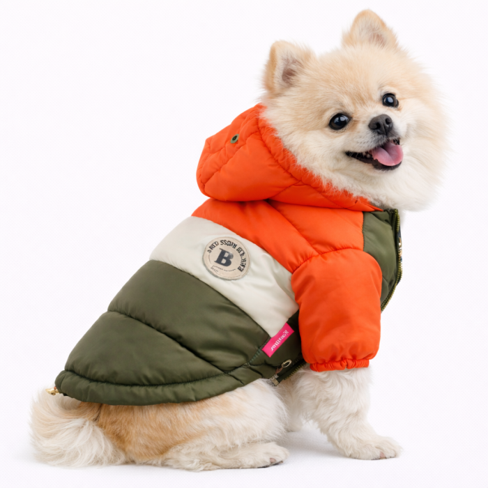 Зимняя непромокаемая куртка для собак "Club", оранжево-зеленая, размер 14