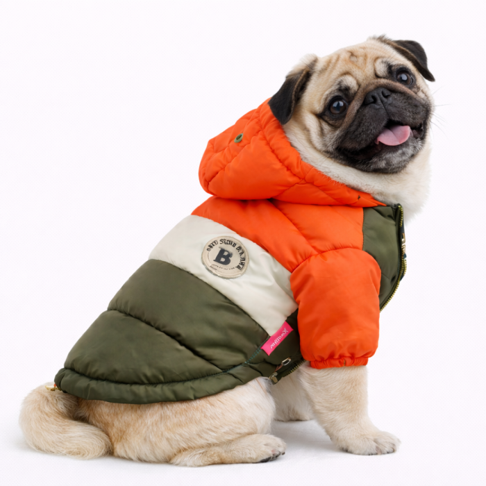 Зимова непромокальна куртка для собак "Club", оранжево-зелена, розмір 16