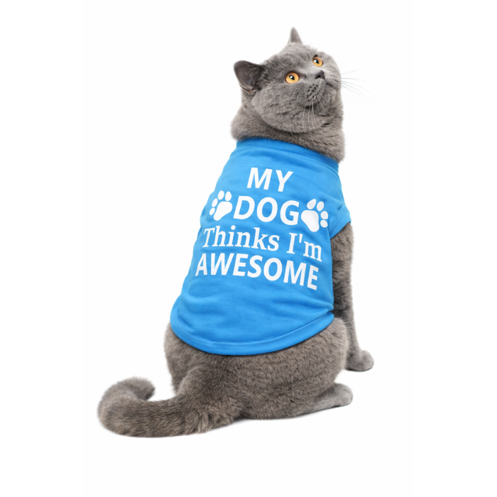 Летняя футболка для котов и кошек "My Dog", синяя, размер XS