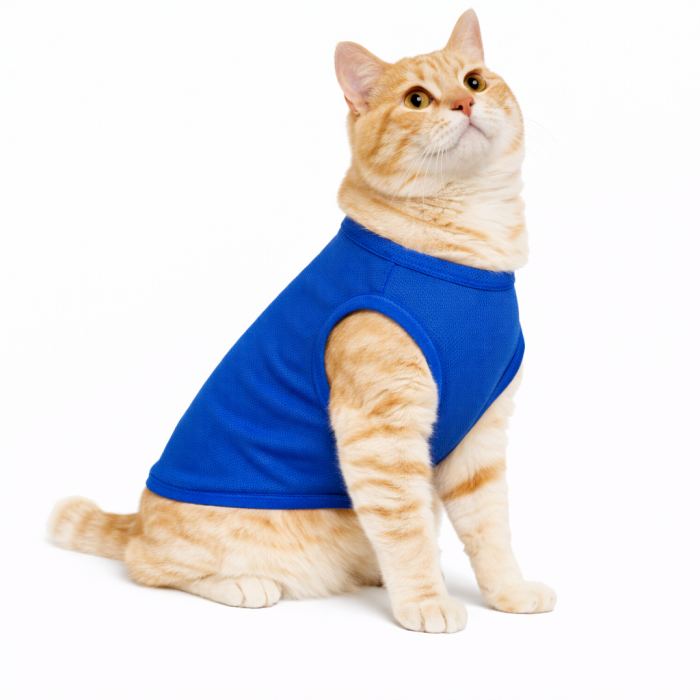 Літня тонка сітчаста майка для котів та кішок "Однотон", синя, розмір XS