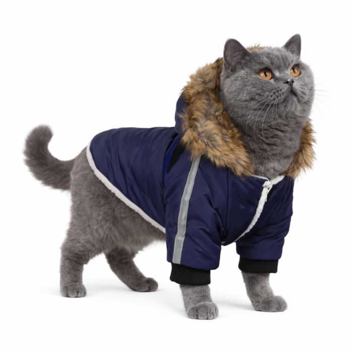 Тепла зимова курточка з капюшоном для котів та кішок "Jacket", синя, розмір S