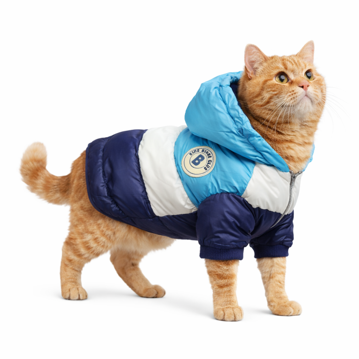 Зимняя непромокаемая куртка для котов и кошек "Club", голубая, размер 14