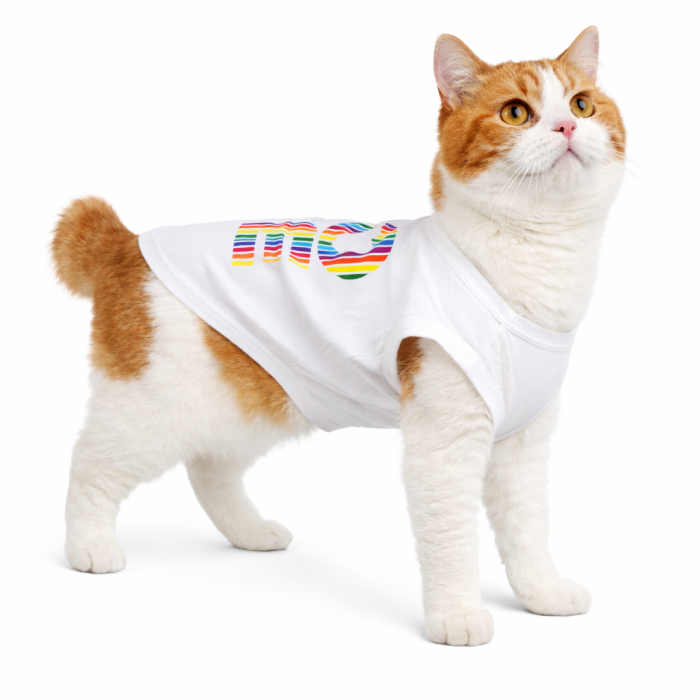 Летняя майка для котов и кошек "Love", белая, размер XS
