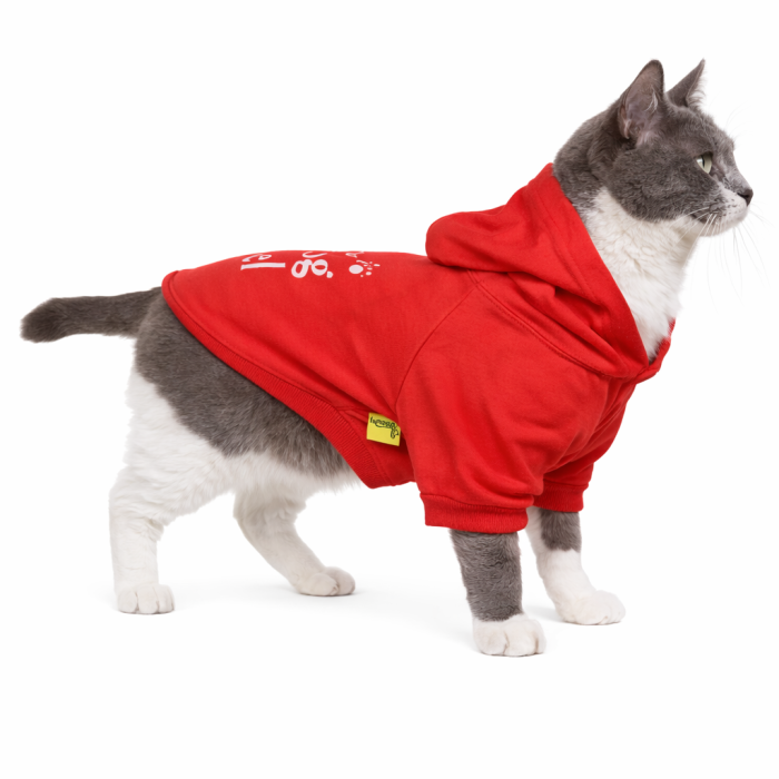 Осінньо-весняна толстовка для котів та кішок "Top Model", червона, розмір XS