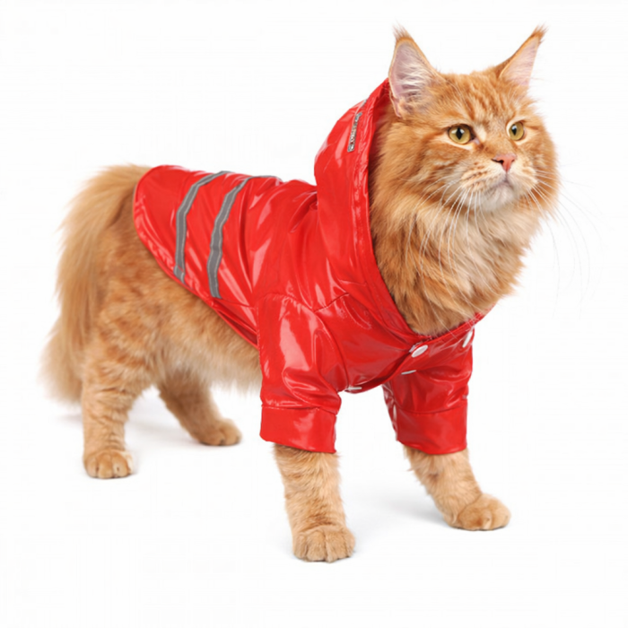 Осеннее-весенний комбинезон, дождевик для котов и кошек "Rain", красный, размер S