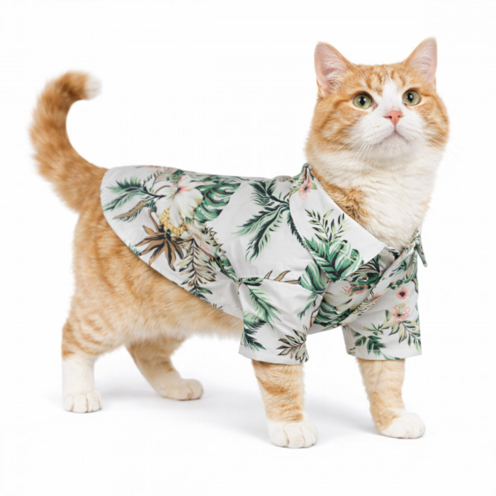 Летняя гавайская рубашка для котов и кошек на море, белая, размер XS
