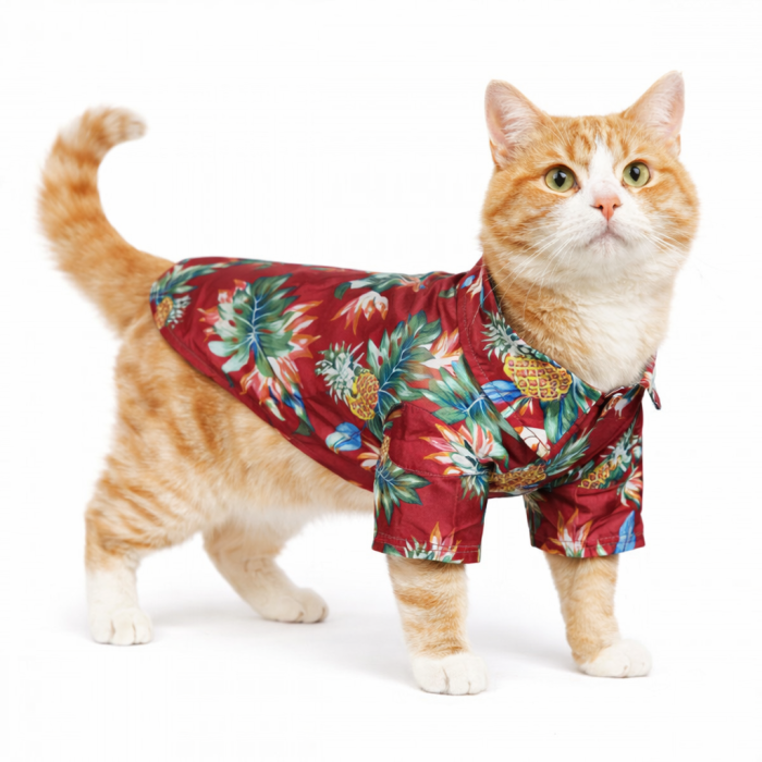 Летняя гавайская рубашка для котов и кошек на море, красная, размер XS