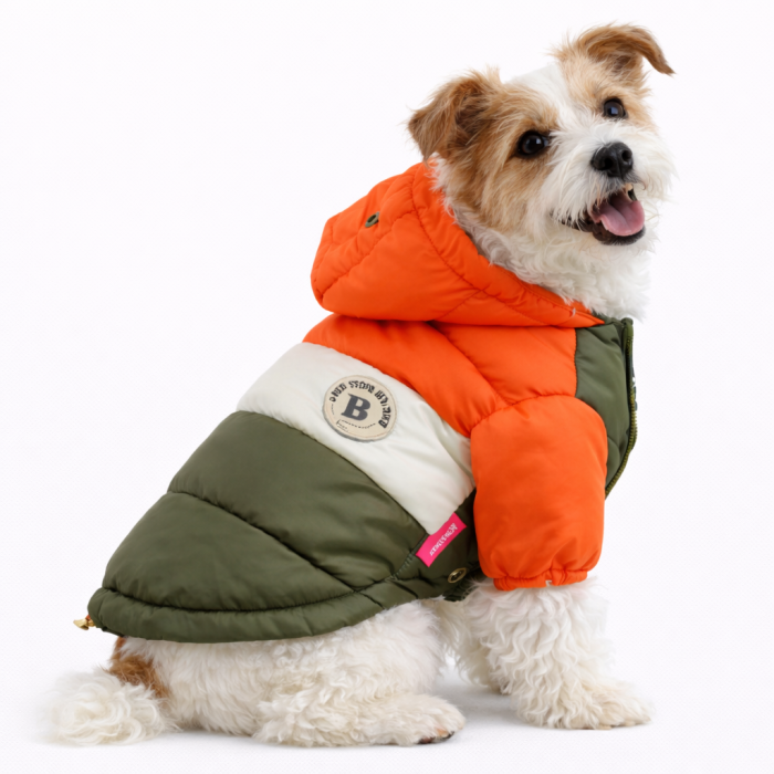 Зимова непромокальна куртка для собак "Club", оранжево-зелена, розмір 20