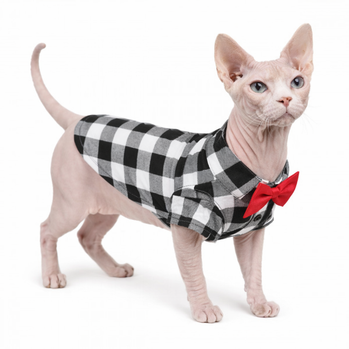 Літня святкова сорочка для котів та кішок "Метелик", чорно-біла, розмір XS