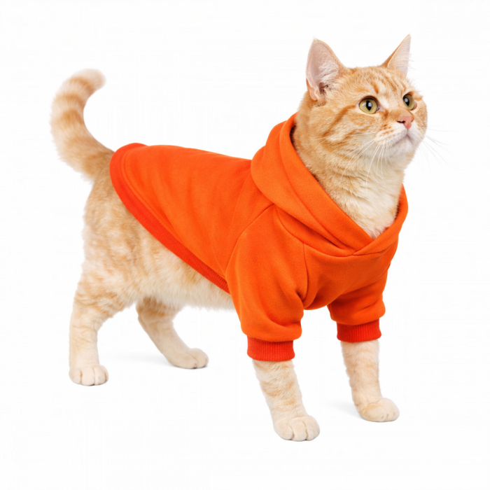 Осеннее-весеннее худи с карманом и капюшоном для котов и кошек "Однотон", оранжевая, размер XS