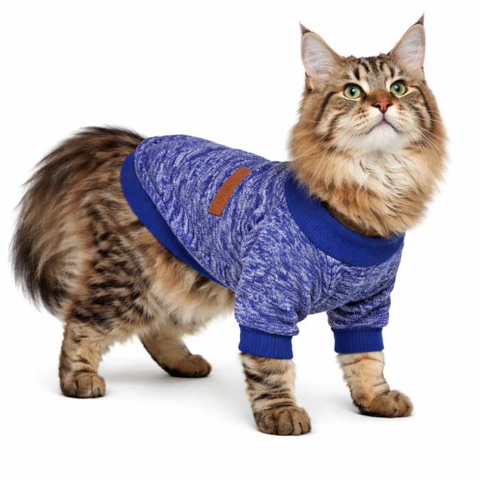Осінньо-весняний джемпер для котів та кішок "Classic", синій, розмір XS