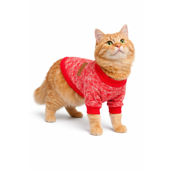 Осінньо-весняний джемпер для котів та кішок "Classic", червоний 2, розмір XS