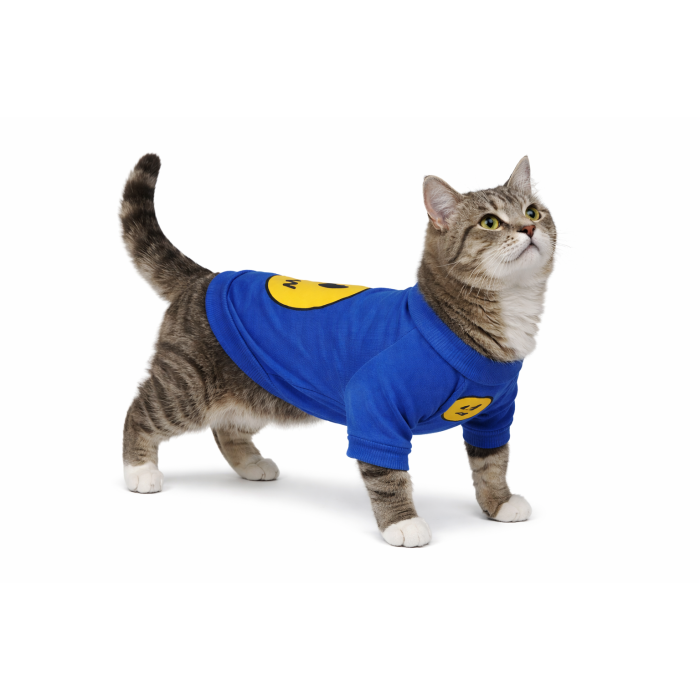 Осінньо-весняний світшот для котів та кішок "Smile", синій, розмір S