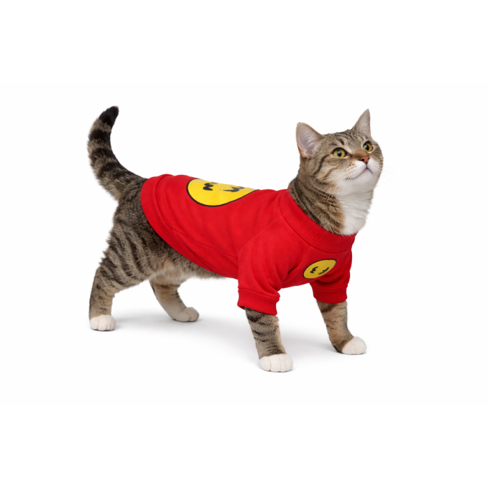 Осеннее-весенний свитшот для котов и кошек "Smile", красный, размер S