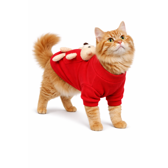 Демісезонний светр для котів та кішок із ведмедем у кишені, червоний, розмір XS