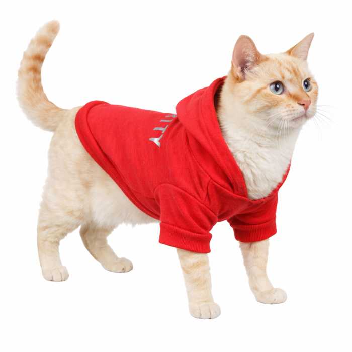 Осіннє весняне тонке худі для котів та кішок "Security", червоне, розмір XS