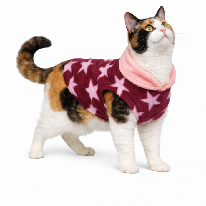 Осінньо-весняний жилет для котів та кішок з кільцем "Двоколірна", бордовий, розмір XS