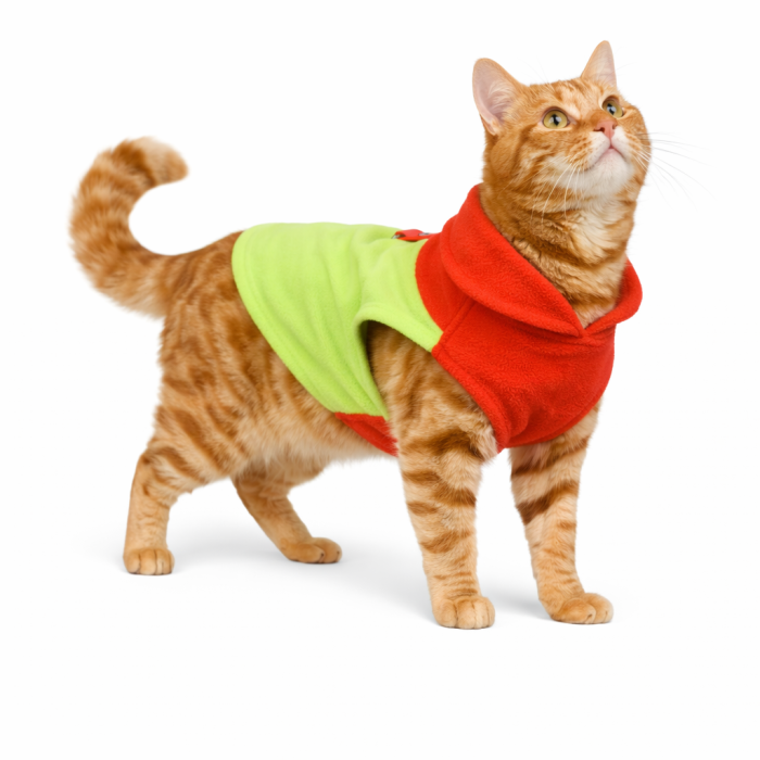 Осінньо-весняний жилет для котів та кішок з кільцем "Двоколірна", жовтий, розмір XS