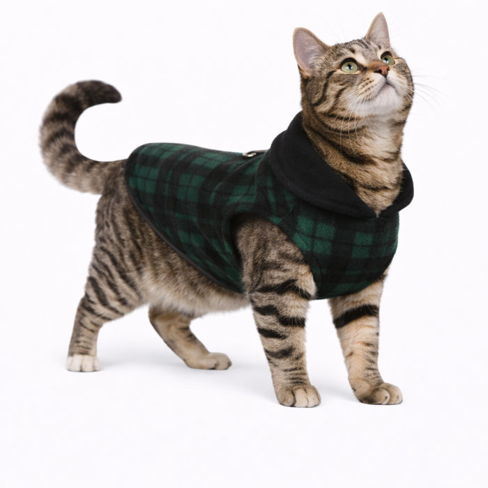 Осінньо-весняний жилет для котів та кішок з кільцем "Клітинка", зелений, розмір XS