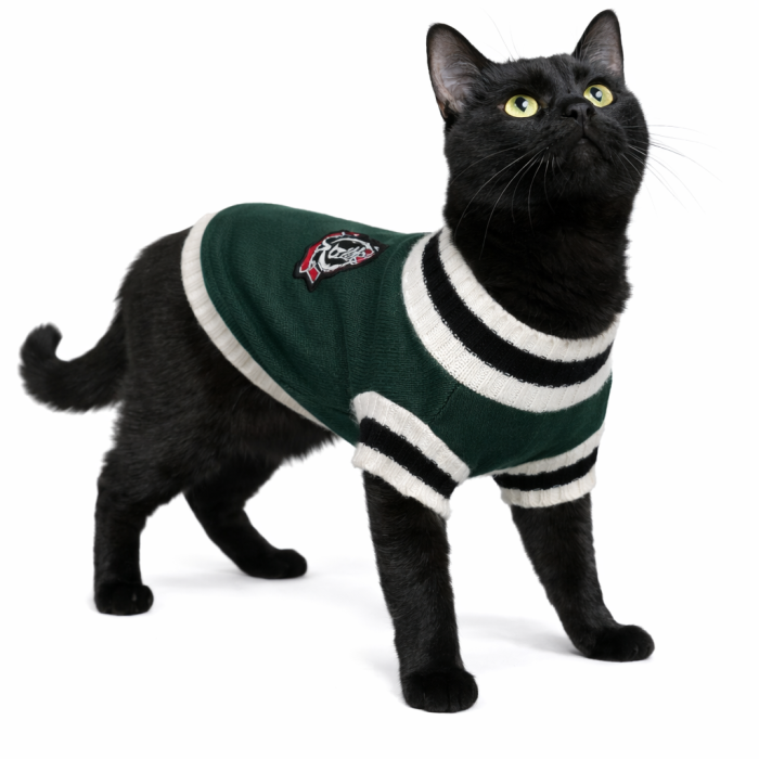 Осінній класичний жилет для котів та кішок "V-виріз", зелений, розмір XS