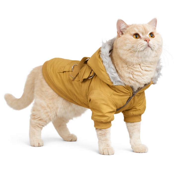Осеннее-весенняя куртка, парка для котов и кошек "ParisDog Republic", желтая, размер XS