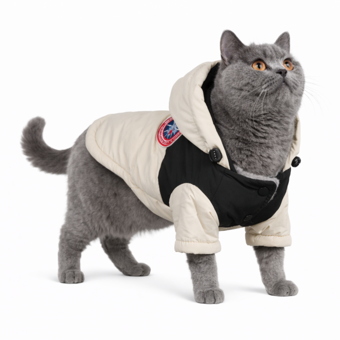 Зимова водонепроникна курточка для котів та кішок "DaDaGouPet", біла, розмір S