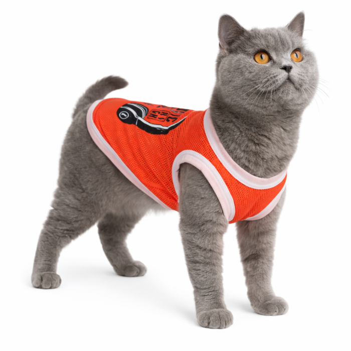 Літня тонка сітчаста майка для котів та кішок "Music", помаранчева, розмір XS