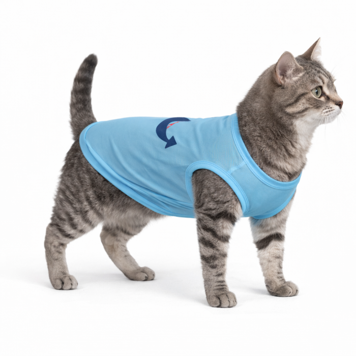 Летняя майка из полиэстера для котов и кошек "Якорь", голубая, размер XS